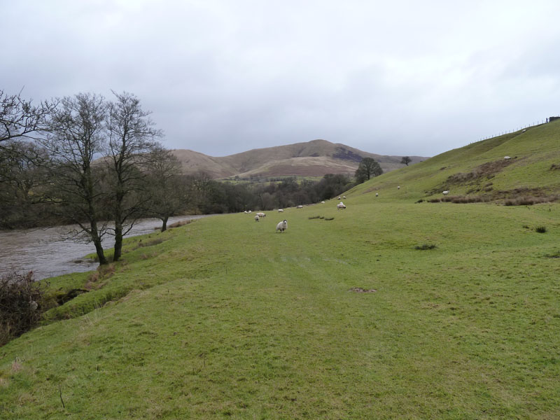 Banks of the River Lune